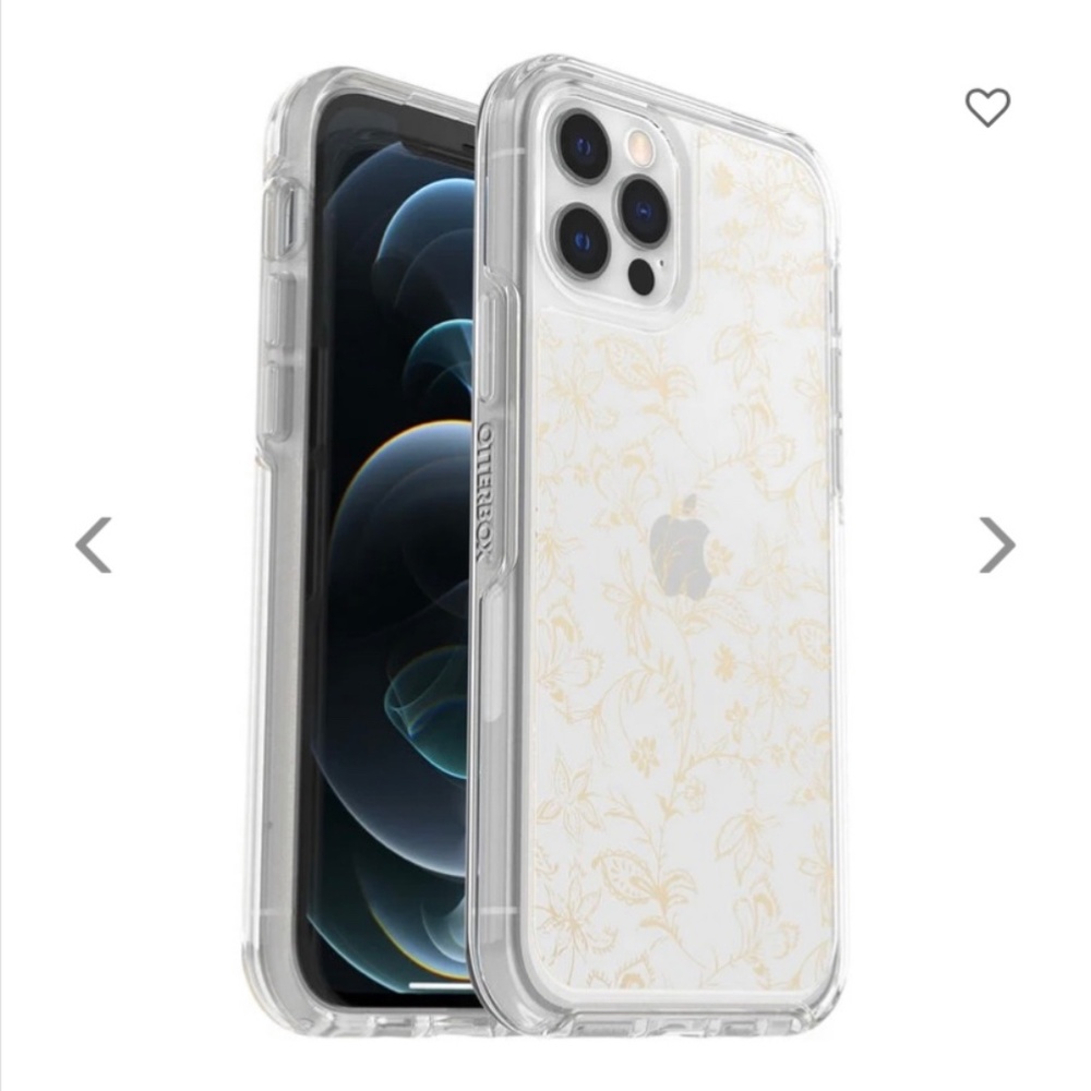 Case